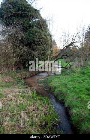 The Beck, a stream running through Horseshoe Hollow nature reserve in ...