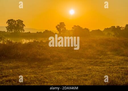 Sunrise view over wetland, in En Afek nature reserve, northern Israel Stock Photo