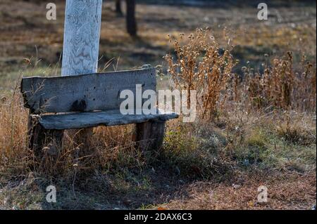 Old rustic wooden bench in a field near railroad Stock Photo