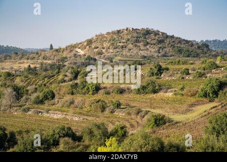 Tzova, Israel - November 14th, 2020: Vineyards and plantations near Jerusalem, Israel, under the ancient ruins of Belmont crusader fortress. Stock Photo