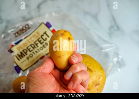 Norwich, Norfolk, UK – November 15 2020. Illustrative editorial photo of an unidentifiable human hand holding a Tesco perfect imperfect potato Stock Photo