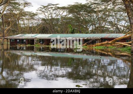 Several buildings partially submerged due to rising water levels, lake Naivasha, Kenya, East Africa Stock Photo