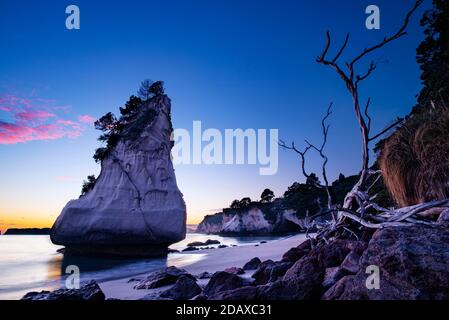 Morning at Cathedral Cove near Hahei, New Zealand Stock Photo