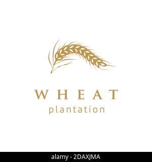 Luxury Golden Grain Wheat / Rice Logo Design Stock Vector