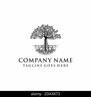 Tree, oak banyan leaf and root logo design inspiration Stock Vector