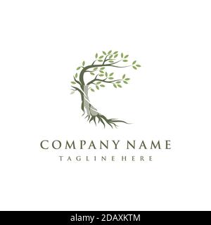 Tree and roots logo design vector isolated, abstract mangrove tree logo design Stock Vector