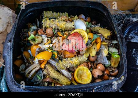 Composting. The top of a compost bin  with the remains of fruit and vegetable, eggs and vegetation. Stock Photo