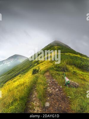 Mountain landscape with trail and green meadow and forest, Velyka Syvulya mountain, Karpaty, Ukraine Stock Photo