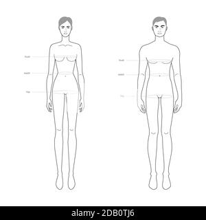 Men and women standard body parts terminology measurements Illustration for clothes and accessories production fashion 9 head male and female size chart. Human body infographic template Stock Vector