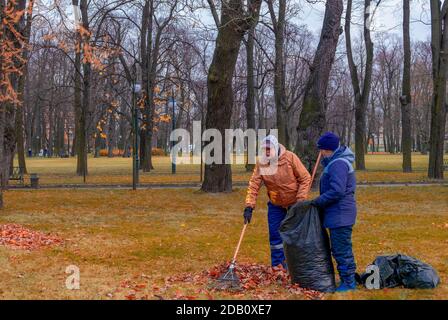 St. Petersburg, Russia: November 14, 2020 - Two female service workers pick dry leaves from the lawn. Horizontal orientation, selective focus Stock Photo