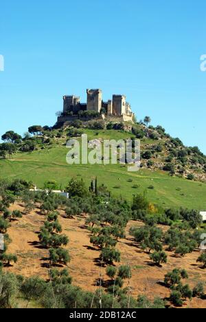 View of the Castle on top of the hill, Almodovar del Rio, near Cordoba, Cordoba Province, Andalucia, Spain, Europe. Stock Photo