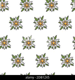 Edelweiss wild flower Austrian symbol seamless pattern Stock Vector