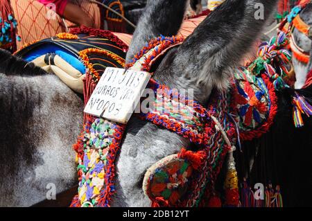 Donkey (burro taxi) with sign on his head, pueblo blanco (whitewashed village), Mijas, Costa del Sol, Malaga Province, Andalucia, Spain, Europe. Stock Photo