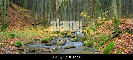 The river Sembera sources near to community of Jevany, Central Bohemia in an altitude of 415 m.