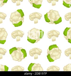 Illustration on theme of bright pattern cabbage, vegetable cauliflower for seal. Vegetable pattern consisting of beautiful cabbage, many cauliflower. Stock Vector