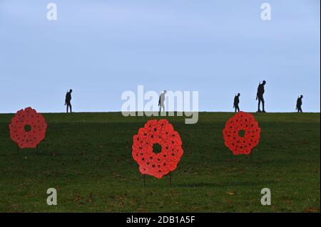 Standing with Giants an art installation created by Witney, Oxfordshire based artist Dan Barton to commemorate Remembrance Day has been installed in t Stock Photo