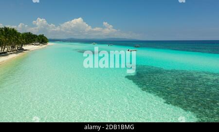 Aerial top view on sand beach,palm tree and ocean. Sandy beach and azure water. Panglao island, Bohol, Philippines. Stock Photo