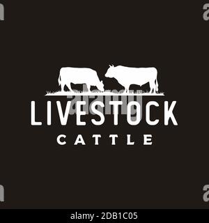 Retro Vintage Livestock Cattle Angus Beef logo design vector Stock ...
