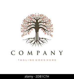 Tree of Life, Oak Banyan tree logo design template Stock Vector