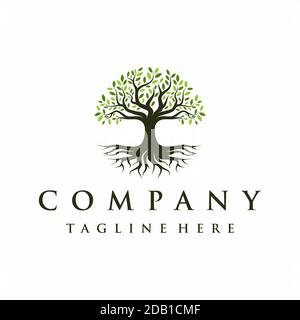 Abstract Vibrant Oak Banyan tree logo design, tree and root vector ...