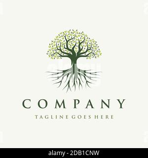 Abstract Vibrant Oak Banyan tree logo design, tree and root vector ...