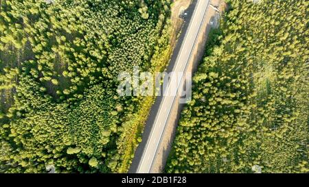 Aerial birds eye view over an empty country road without car between green forest on sunny day. Scenic top view from drone on nature landscape and hig
