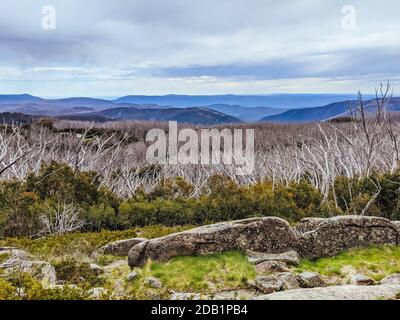 Lake Mountain Bike Park in Australia Stock Photo