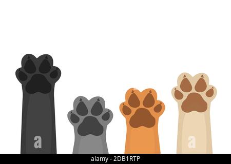 Paws up pets copy space background Stock Vector