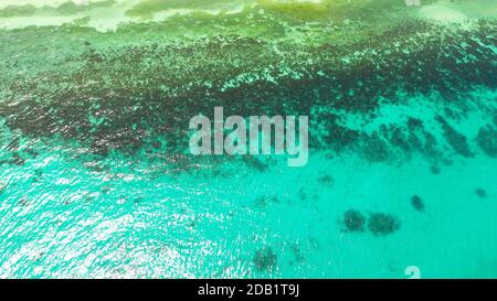 Aerial view of shot of turquoise water - space for text. Blue lagoon water surface. Stock Photo