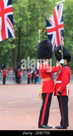 Commanding officer adjusting the bearskin of a foot guard at the Trooping the Colour Queen's Birthday Parade on The Mall in London, England Stock Photo