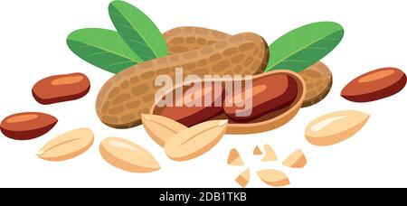 Vector peanuts whole and pieces in cartoon style for label template, snacks packaging emblem Stock Vector