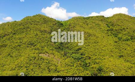 Hills and mountains covered with green grass against a background of blue sky and clouds. Bohol, Philippines. Summer landscape. Stock Photo