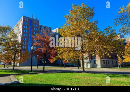 Ohio State University Park-Stradley Hall and Smith-Steeb Hall – Sasaki