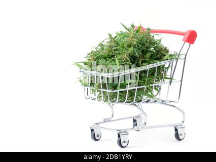 fresh marijuana flower in shopping cart isolated on white background Stock Photo