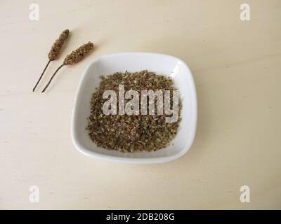 Edible Ribwort plantain seeds with seed husks Stock Photo