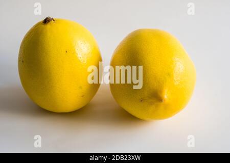 Still life with two yellow lemons on white background. Stock Photo