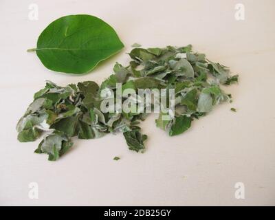 Dried quince leaves for quince leaf tea on a wooden board Stock Photo