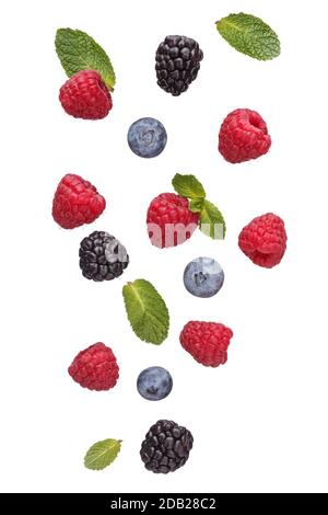 Falling  berries isolated on white background. Stock Photo