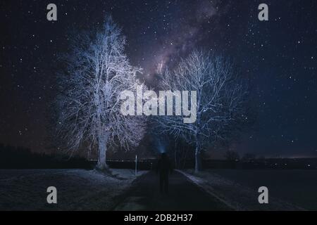 Silhouette of hiker person with flashlight on head watching the starry sky and tree on the road Stock Photo