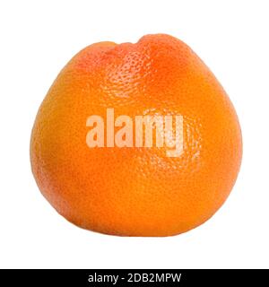 citrus fresh red grapefruit pomelo isolated on white background isolated Stock Photo