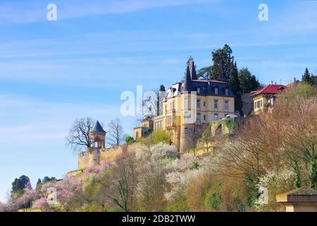 Haardter castle during the almond blossom in spring , Germany Stock Photo