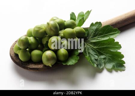 Fresh peas in the spoon Stock Photo