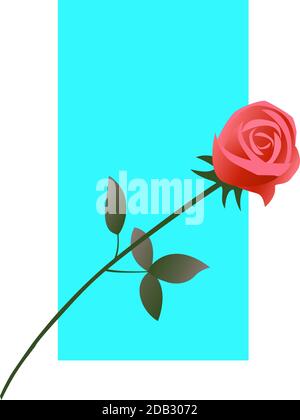 Red rose on a blue background. Beautiful flower for a woman. Love symbol. Vector isolated romantic illustration. Stock Vector