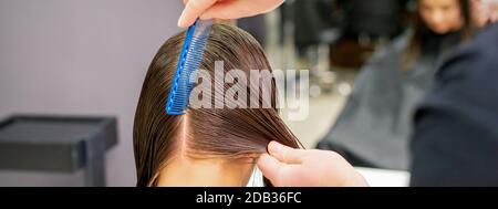 Back view of hairdresser hands parting long hair of young woman in hair salon Stock Photo