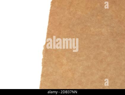 torn edges of corrugated cardboard paper with white background, abstract backdrop template Stock Photo