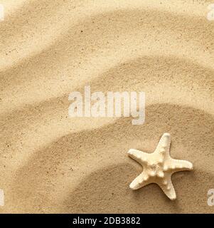 Starfish on wavy sand background. View from above. Flat lay Stock Photo