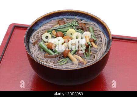 Japanese Sansai soba noodles in a ceramic bowl on tray Stock Photo