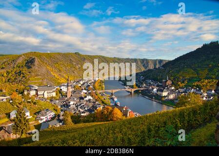 Wine landscape near Cochem and Leiwen on the Moselle Stock Photo