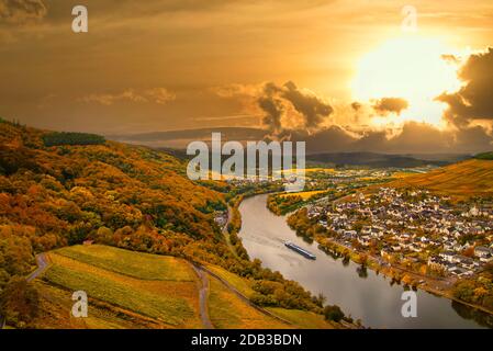 Wine landscape near Cochem and Leiwen on the Moselle Stock Photo