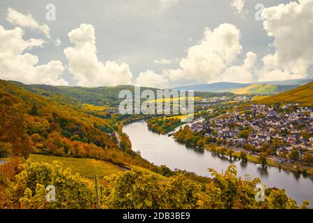 Wine landscape near Cochem and Leiwen on the Moselle Stock Photo